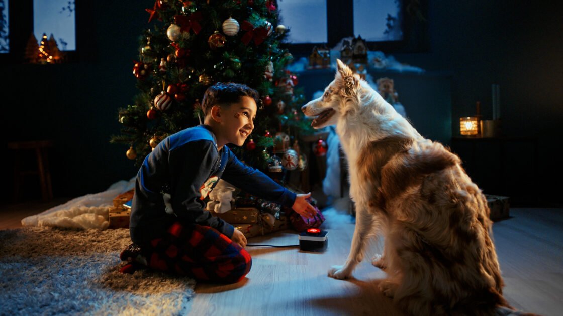 Action Christmas – NL Campaign