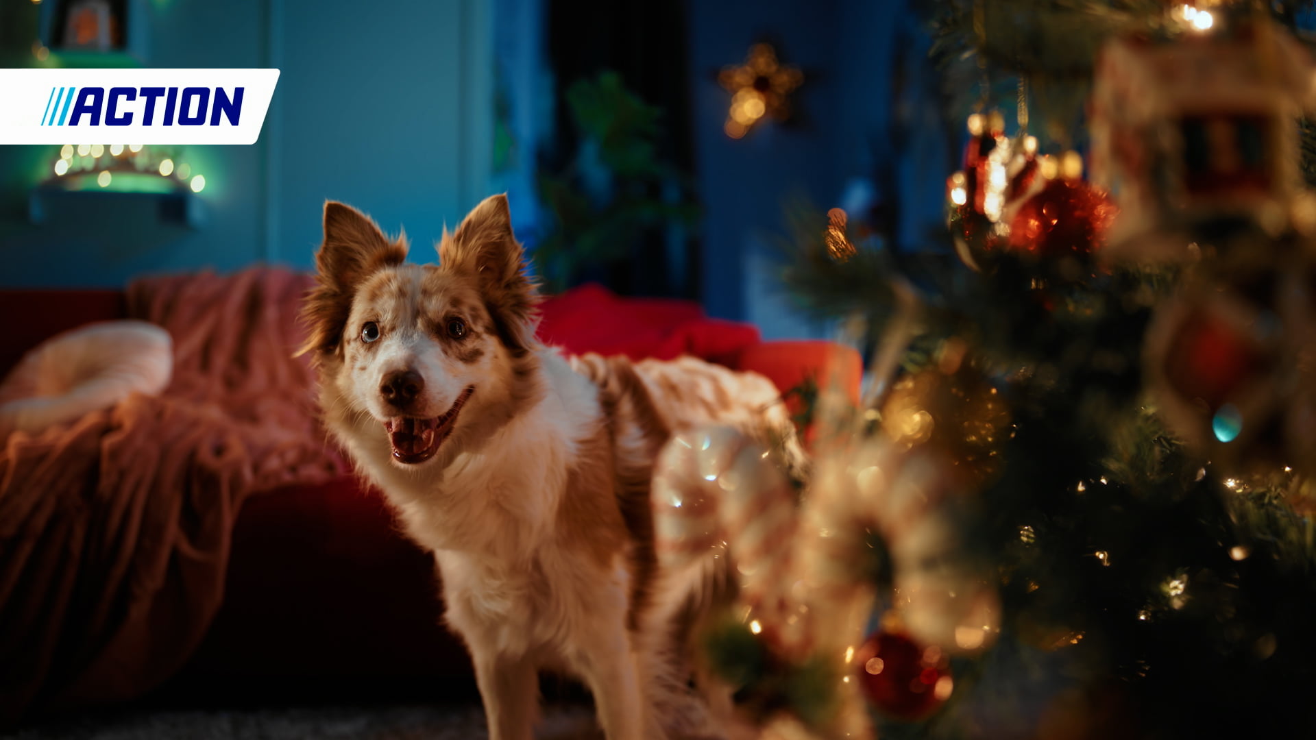 4_action_christmas-campaign_olv_decorating-inside_15s_16x9_online_v101.00_00_19_23.Still003